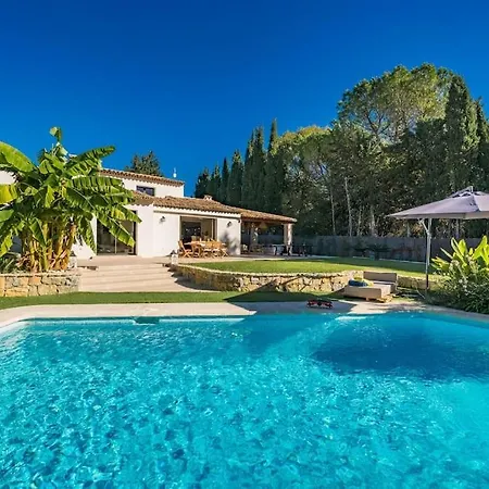 Magnifique Renove