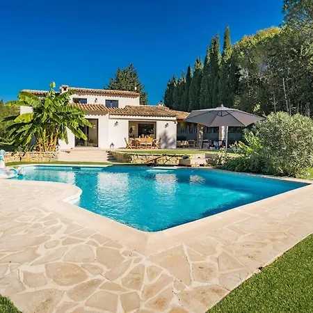 Magnifique Renove *